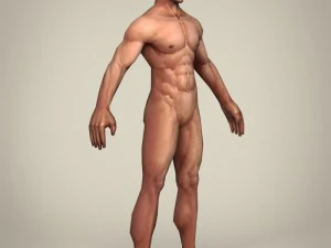 uomo realistico pronto per il gioco Modello 3D