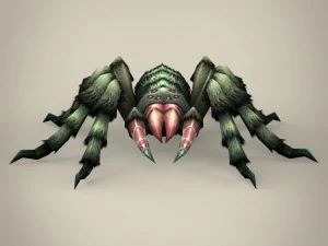 game ready spider tarantula 3D Model