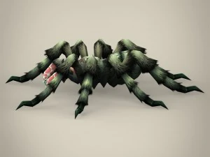game ready spider tarantula 3D Model