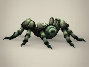 game ready spider tarantula 3D Model