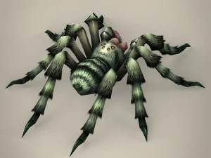 game ready spider tarantula 3D Model