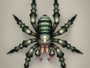 game ready spider tarantula Modelo 3D