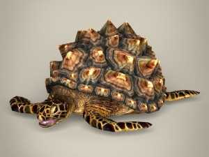 game ready mountain tortoise 3D Model