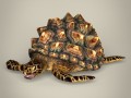 Game Ready Mountain Tortoise 3D Model