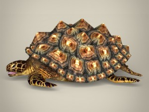 game ready mountain tortoise 3D Модель
