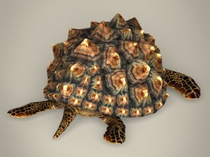 game ready mountain tortoise 3D Модель