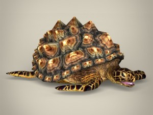 game ready mountain tortoise 3D Модель