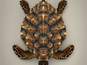 game ready mountain tortoise 3D Модель