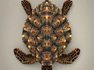jogo pronto tartaruga da montanha Modelo 3D