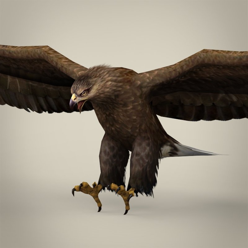 Game Ready Realistic Eagle 3d Model In Bird 3dexport