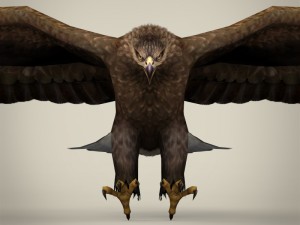 game ready realistic eagle Modelo 3D
