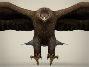 aquila realistica pronta per il gioco Modello 3D