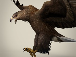 game ready realistic eagle Modelo 3D