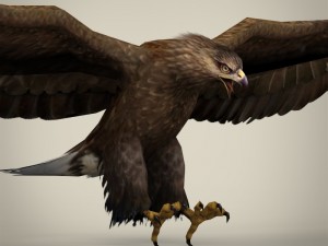 game ready realistic eagle Modelo 3D