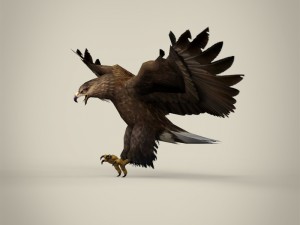game ready realistic eagle Modelo 3D
