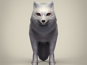 game ready white fox 3D Модель