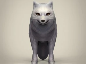game ready white fox 3D Model