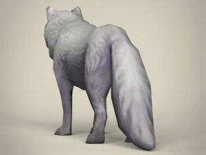 game ready white fox 3D Model