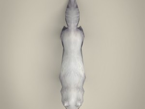 game ready white fox 3D Модель