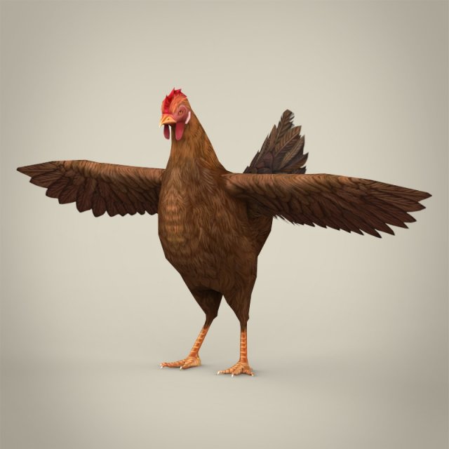 game ready realistic hen Modello 3D .c4d .max .obj .3ds .fbx .stl .blend 