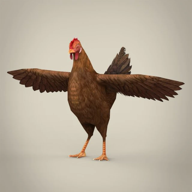 game ready realistic hen 3D Model .c4d .max .obj .3ds .fbx .stl .blend