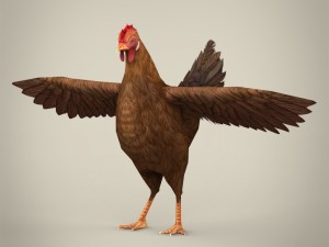 game ready realistic hen 3D Model