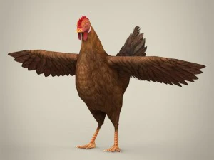 gallina realista lista para el juego Modelo 3D