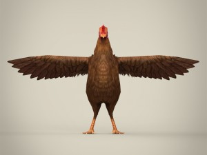 game ready realistic hen Modello 3D