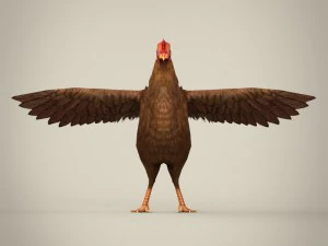 game ready realistic hen 3D Model