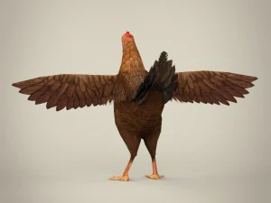 game ready realistic hen 3D Model