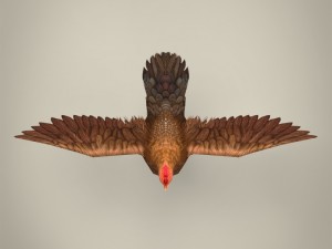 game ready realistic hen Modello 3D