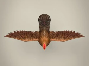 game ready realistic hen 3D Model