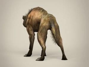 гра готова фентезі гієна 3D Модель