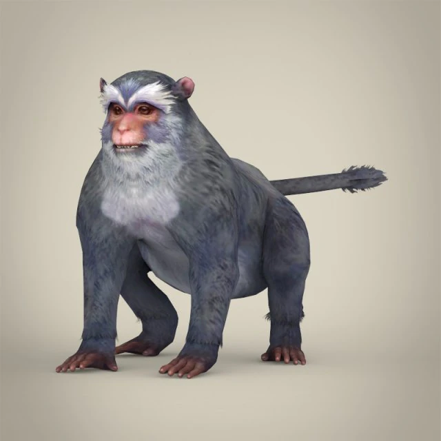 game ready white monkey 3D Model .c4d .max .obj .3ds .fbx .stl .blend 