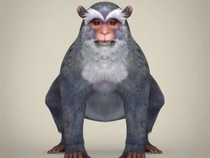 game ready white monkey 3D Model