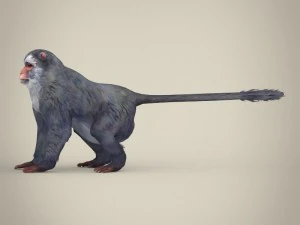 game ready white monkey 3D Model