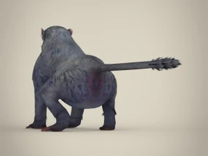 game ready white monkey 3D Model