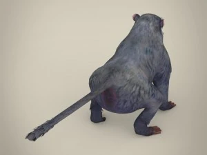 game ready white monkey 3D Model