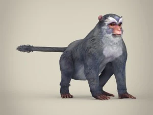 game ready white monkey 3D Model