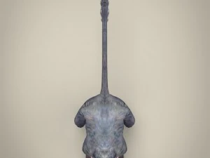 game ready white monkey 3D Model