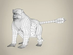 game ready white monkey 3D Model