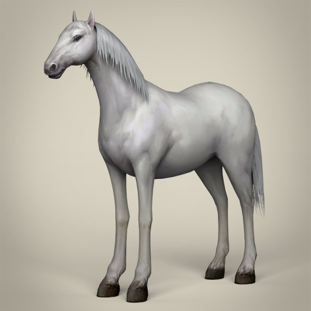 game ready white horse 3D 모델 .c4d .max .obj .3ds .fbx .stl .blend 