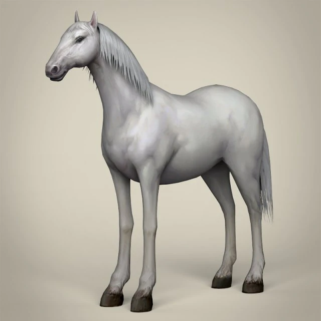 game ready white horse 3D Model .c4d .max .obj .3ds .fbx .stl .blend 