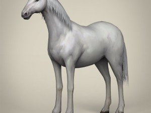 game ready white horse Model 3D