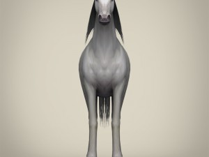 game ready white horse 3D 모델