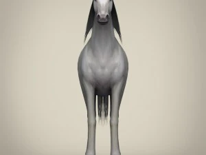game ready white horse 3D Model