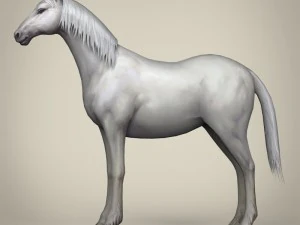game ready white horse 3D Model