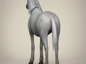 game ready white horse 3D Model