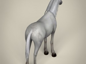 game ready white horse 3D 모델