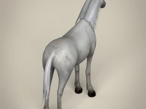 game ready white horse 3D Model